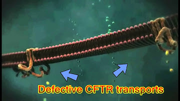 Defective CFTR  animation