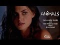 Animals  the vampire diaries  the originals music