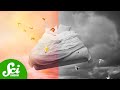 Dreams and Media Influence Quiz