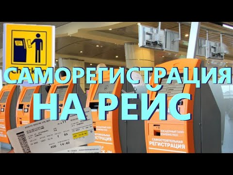 Video: SFO кайсы терминалы United International болуп саналат?