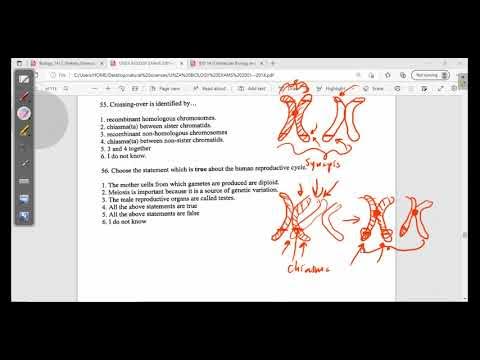 CELL CYCLE Biology Diagrams