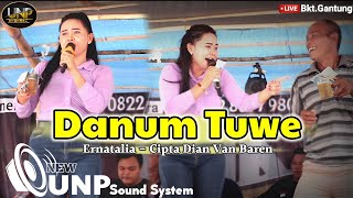 ERNATALIA  - DANUM TUWE CIPTA DIAN VAN BAREN- DI DUSUN BUKIT GANTUNG (REMIX)