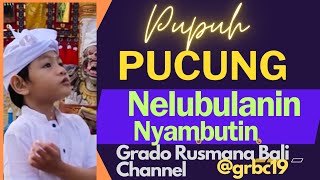 NYAMBUTIN NELUBULANIN PUPUH PUCUNG by. W. Grado@grbc19