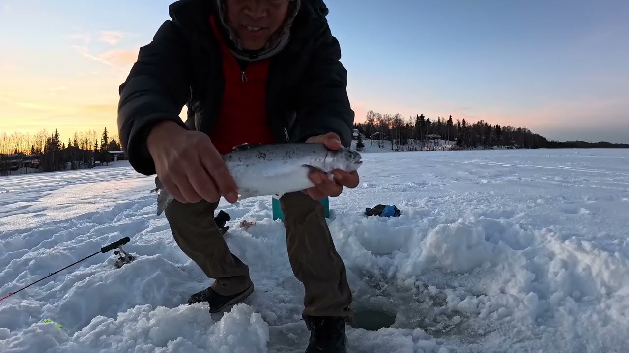 Ice Fishing 🎣 Alaska #alaska #icefishing #fishing 