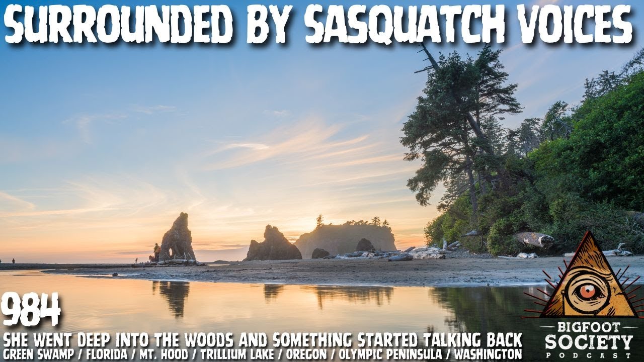 Researchers Trigger Massive Bigfoot Vocalization Event In Olympic Peninsula | Bigfoot Society 984