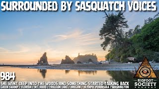 Researchers Trigger Massive Bigfoot Vocalization Event In Olympic Peninsula | Bigfoot Society 984