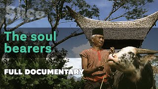 The fascinating death ritual of the Toraja people | SLICE