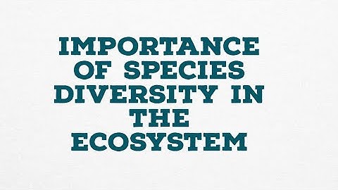 IMPORTANCE OF SPECIES DIVERSITY IN THE ECOSYSTEM