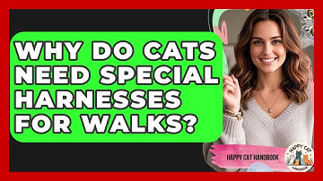 Why Do Cats Need Special Harnesses For Walks? - Happy Cat Handbook