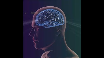 Learn  python Language and AI With Ipcs Kottayam