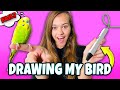 Testing a 3D PEN by DRAWING MY BIRD!