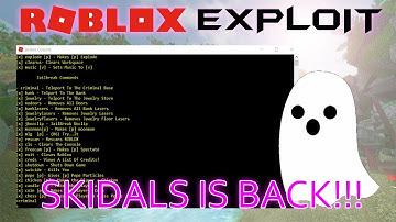 NEW ROBLOX SKIDALS EXPLOIT! OP NOCLIP COMMAND JAILBREAK! (PATCHED)