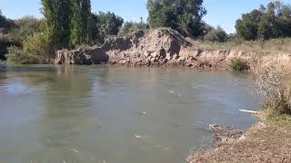 видео: Пропал ребенок, самостоятельно веду поиски в ст Коксу картинка: Пропал ребенок, самостоятельно веду поиски в ст Коксу