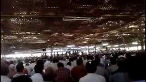 121st Maramon Convention 2016