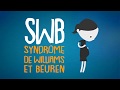 1 - Qu'est-ce que le syndrome de Williams et Beuren?