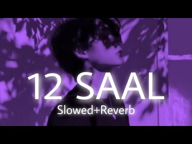 12 SAAL - Bilal Saeed | Full Video | Slowed Song class=