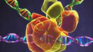 Scientific Video HIV life Cycle