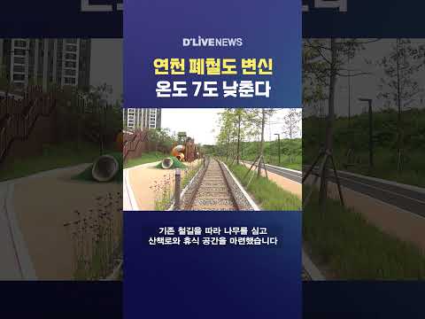 연천 폐철도 변신 온도 7도 낮춘다 #딜라이브뉴스 #shorts