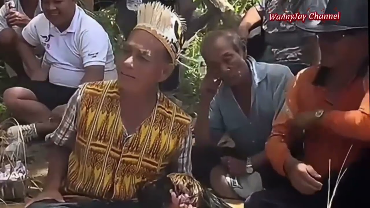 Sampi bebiau Lemambang Sa 