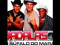 Banda 007 bufalo do 'MARAJO Wallacee'desejaduh