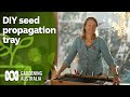 How to make a seed propagation tray | DIY Garden Projects | Gardening Australia