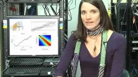 Variance as a Signature of Neural Computations