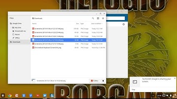 How to Record the Entire Screen on Chromebook using TechSmith Snagit App