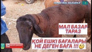 06.08.2023 МАЛ БАЗАР ТАРАЗ | ҚОЙ ЕШКІ БАҒАЛАРЫ | МАЛ БАЗАР 2023 ✅
