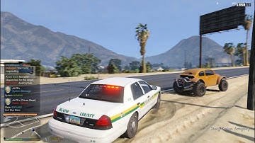 COPS In The LSPDFR Matrix Episode 37