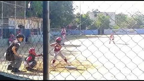 Aguiluchos Maximo Prez