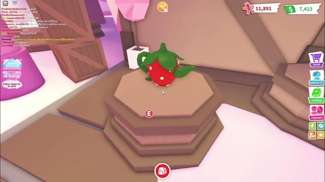 adopt me 2022 advent calendar day 16 3'000 gingerbread! + Snowball pet