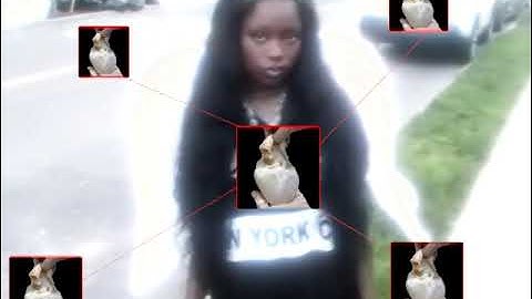 Bitgurl - bytedown (official video)