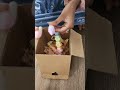 #asmr #packing fake order comment what di I want us to pack next