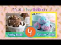 Would You Rather Fitness Quiz