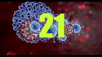 VIDEO | COVID-19 In Numbers:  19 June 2020