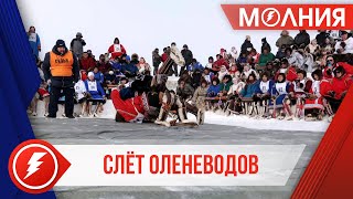 День оленевода в Тазовском прошёл при поддержке компании «НОВАТЭК»