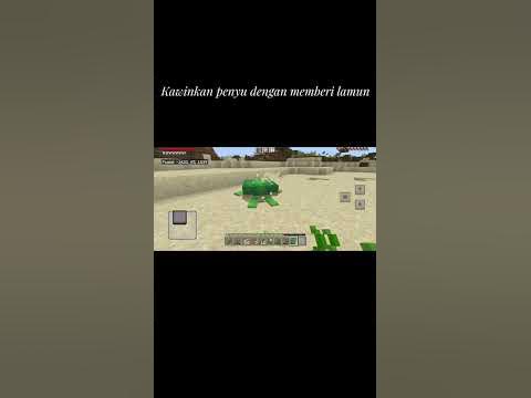 Cara mendapatkan telur penyu di Minecraft Survival #minecraft #