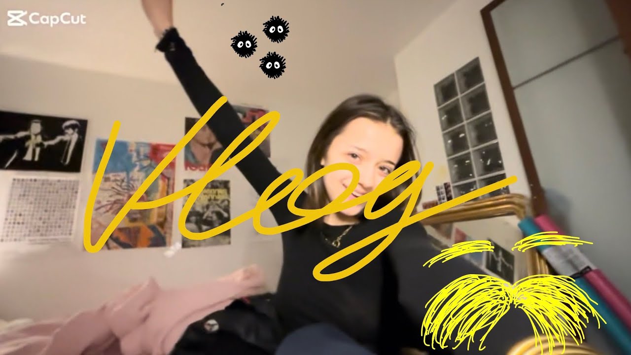 Vlog de youtubeuse #43