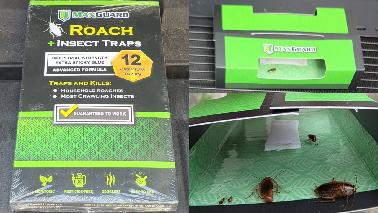 MaxGuard Max Guard Ловушки для тараканов и насекомых Ползающие насекомые Жуки Нетоксичный клей бе...