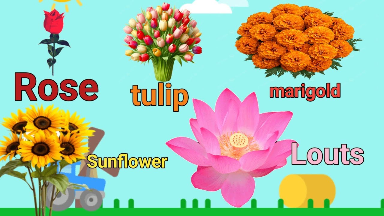 Flowers name // फूलों के नाम 20 flowers name english me फूलों के नाम हिंदी में flowers name