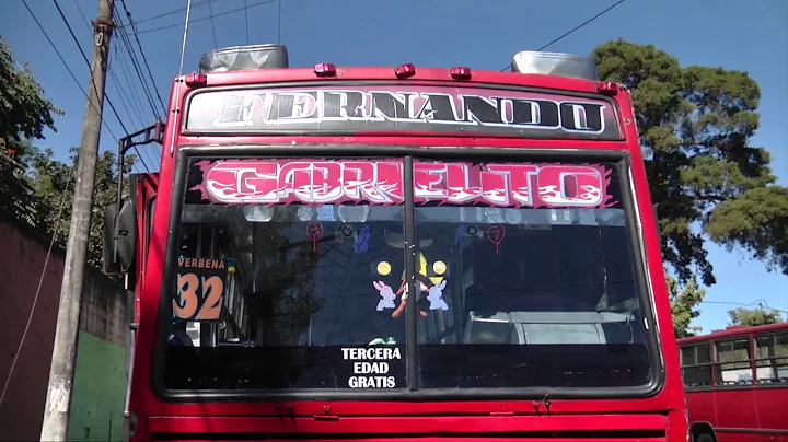 Mirna Elizabeth Juarez, alias "La Ranflerita" atac...