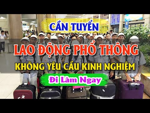 Video: Những công việc nào được coi là lao động phổ thông?