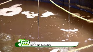 Bio Floc Farming - Food Chain on Joy Business(28-12-21)