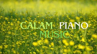 Relaxing and Beautiful Sleep Calm Music for a Serene Night# piano #sleep #relaxation