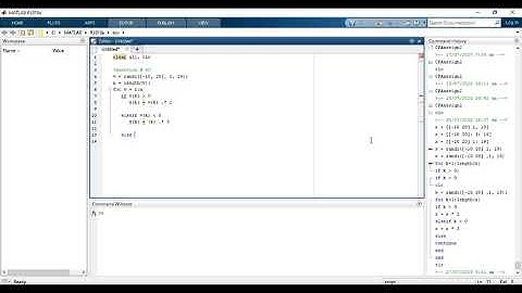Matlab Programming for Randi Type Vector