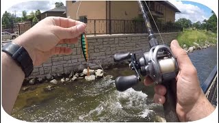 People are SHOCKED to know fish live here (city fishing)