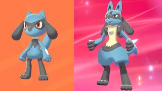 How to Catch and Evolve Riolu in Pokemon Sword and Shield
