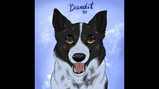 Bandit 💙 #pets #dogportrait #artfight2026 #speedpaint