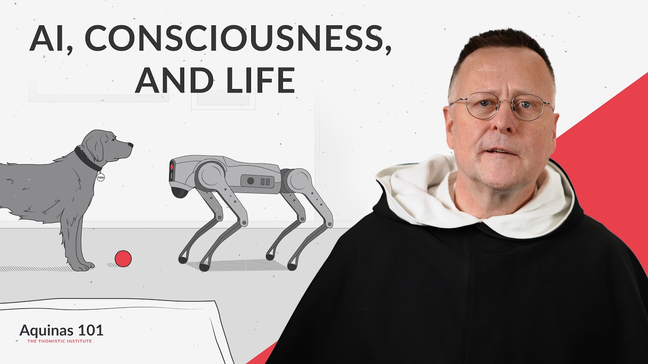 Do Machines Have Consciousness? (Aquinas 101)