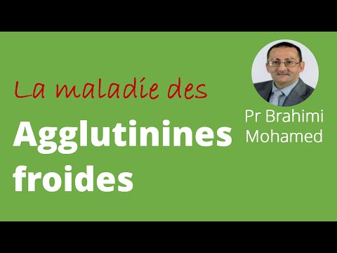 Vidéo: Où se trouvent les agglutinines ?